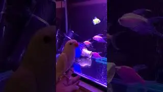 ловим рыбку)))