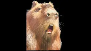 Capybara Vugar Mamedov  #art #painting  #acrylicpainting #oilpainting