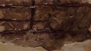 СОСЯРЫ СОСЕДИ СВЕРХУ У НАС.