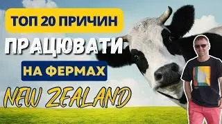 20 причин чому варто почати працювати на Фермах в НОВІЙ ЗЕЛАНДІЇ.