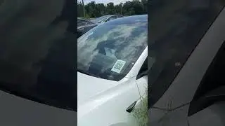 A vacant field of 2024 Teslas being overgrown…