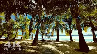 R.A.M. - SEASHORES 6 - PALM BEACH 1