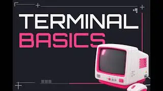 Terminal Commands every developer should know