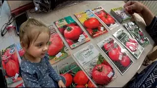 Семейный вечер : Мама купила кучу семян помидор
