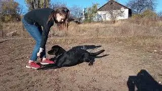 Велес, 9 месяцев (26.10.2021)
