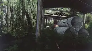 Z.O.N.A: Origin (Which image option is better? 1&2?)