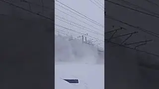 Die Züge Siemens Velaro RUS (Wanderfalke) vs Siemens Desiro RUS (Schwalbe)