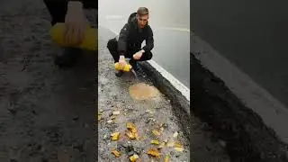 EASY PHOTO IDEA with EPIC RESULTS! 💦🤯 