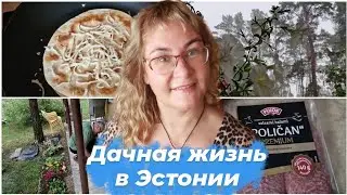 Дачные блоги из Эстонии.Гроза на Чудском озере.Лаваш с грибами.Продолжается стройка на даче.Влоги