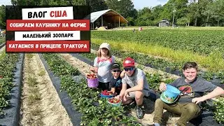 Собираем Клубнику на Ферме | Маленький Зоопарк | Катаемся в Прицепе Трактора | Наша Жизнь в Штатах