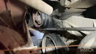 Golf 4 replacement of the tension and idler pulley of the alternator belt