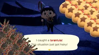How to make a Tarantula Island & Farm Bells in Animal Crossing New Horizons (Read description!)