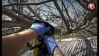 Один день вне мастерской. ЕДЕМ В ДЕРЕВНЮ!