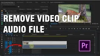 How To Remove Video Clip Audio File - Adobe Premiere Pro