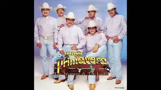 Conjunto Primavera Exitos