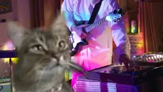 The Cat Museum—Digicat’s Mew Year’s Day, Part I