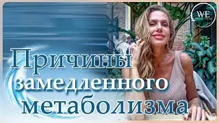 Конкретные шаги по восстановлению обмена веществ (ч.1)