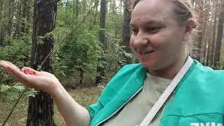 27ИЮНЯ ЗЕМЛЯНИЧКА🍓 В 🌲ПЕЧЁНОЧНЫЕ ОЛАДЬИ, УЖИН...