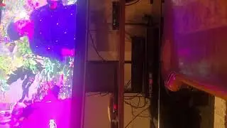 crtv direct