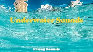 Underwater Sounds ASMR (1 hour) | 물속의 소리 ASMR (1시간)