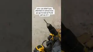 Apprentice sparky life 