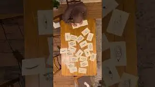 slipping away - I made 50 individual sketches to make an animation.