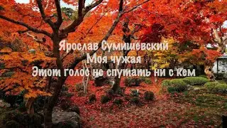 Ярослав Сумишевский Моя чужая