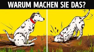 Die wahre Bedeutung von 19 seltsamen Hundeverhaltensweisen