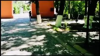 #Сакит Самедов #Чан Кусар 🦅🦅🦅