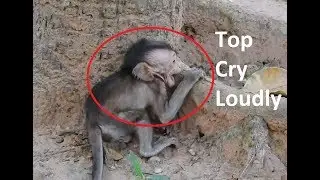 TOP CRY ! So Pity Baby Aiden Cry Loudly & Angry Mom, What Happen Wrong Why Mom  Leave Baby ?