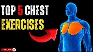 5 Chest Exercises You NEED To Know