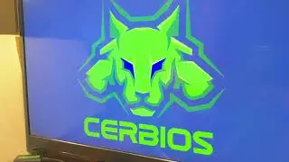 CERBIOS Custom OG XBOX