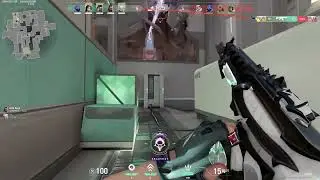 back to prime?