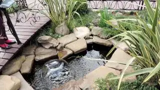 Сочи. Гуляем в парке Ривьера./  Sochi. We walk in the park Riviera.