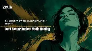 Can't Sleep? Ancient Vedic Healing | 3.5Hz Delta | Wind Sleep & Pranic Breath | 3 Hours