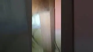 Miedo geo rgao