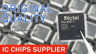 Integrated Circuit Supplier