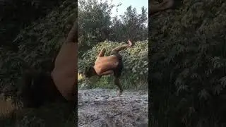 best roll in side backflip 2022#shorts