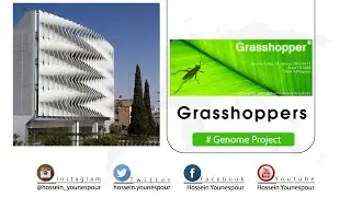 GRASSHOPPER TUTORIAL: how to model genome project with grasshopper plugin in rhino!