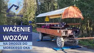 Ważenie wozów na drodze do Morskiego Oka (23.10.2024 r.) - Miary i Wagi