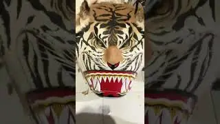 Tutorial memasang kuping reog Ponorogo