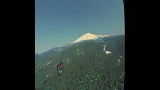 Tellusim Forest Scene VR