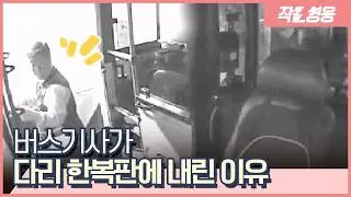 버스기사가 성산대교에서 갑자기 차 세우고 사라진 이유 [작은영웅]