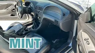 DEEP Interior Detail on 2001 Ford Mustang SVT Cobra - Part 6