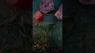 Нашёл логово гномов🧙 Рыцарям конец! #гномы #рыцари