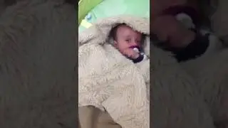 Шезлонг качель. В меховой жилетке. В квартире холодила