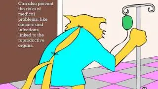 Spay Neuter Animation by SUVA students for Animal Humane