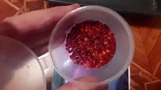 обзор острых семян на посадку #острыйдядя