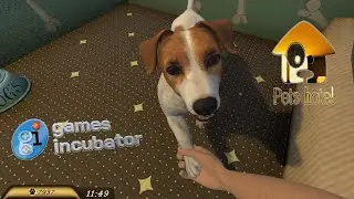 Pets Hotel - Gameplay [Casual/Simulation/Management/For the whole family]