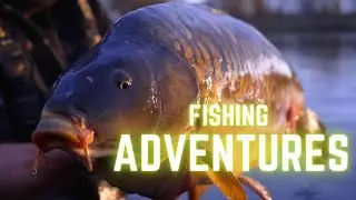 Big Carp On The Line !!